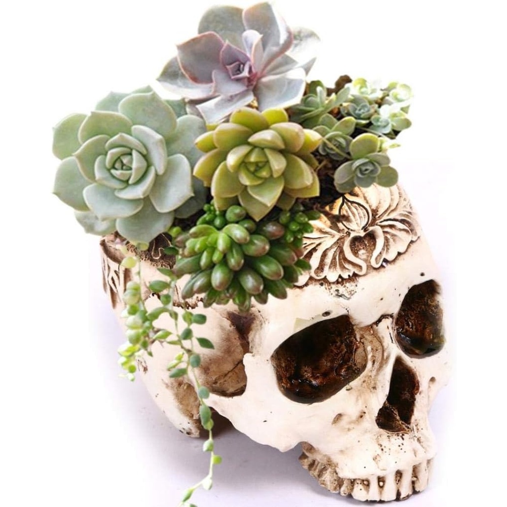 image:imageSkull Planter Gothic Plant Pot Handcrafted Vintage DesignCarved Beige