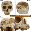 Skull Planter, Gothic Plant Pot Handcrafted Vintage Design(Carved Beige)