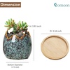 Succulent Pots with Drainage Half Dragon Egg Shell Design Sets 4 PCS(Dragon Egg-1)