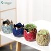 Succulent Pots with Drainage Half Dragon Egg Shell Design Sets 4 PCS(Dragon Egg-1)