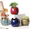 Succulent Pots with Drainage Half Dragon Egg Shell Design Sets 4 PCS(Dragon Egg-1)