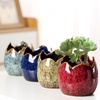Succulent Pots with Drainage Half Dragon Egg Shell Design Sets 4 PCS(Dragon Egg-1)