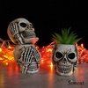 Succulent Pots with Drainage Mini Skull Decor Flower Pot Set of 3(Beige)