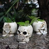 Succulent Pots with Drainage Mini Skull Decor Flower Pot Set of 3(Beige)