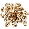 Comeon 50pcs Golden Electroplated Cowrie Shell Beads Natural Seashells