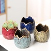 Succulent Pots with Drainage Half Dragon Egg Shell Design Sets 4 PCS(Dragon Egg-1)