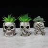 Succulent Pots with Drainage Mini Skull Decor Flower Pot Set of 3(Beige)