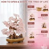 Comeon Large Feng Shui Money Tree Green Crystal Quartz Lucky Gem Tree(Rose Quartz)