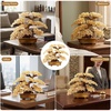 Comeon Large Feng Shui Money Tree Yellow Crystal Quartz Gem Lucky Tree(Citrine)